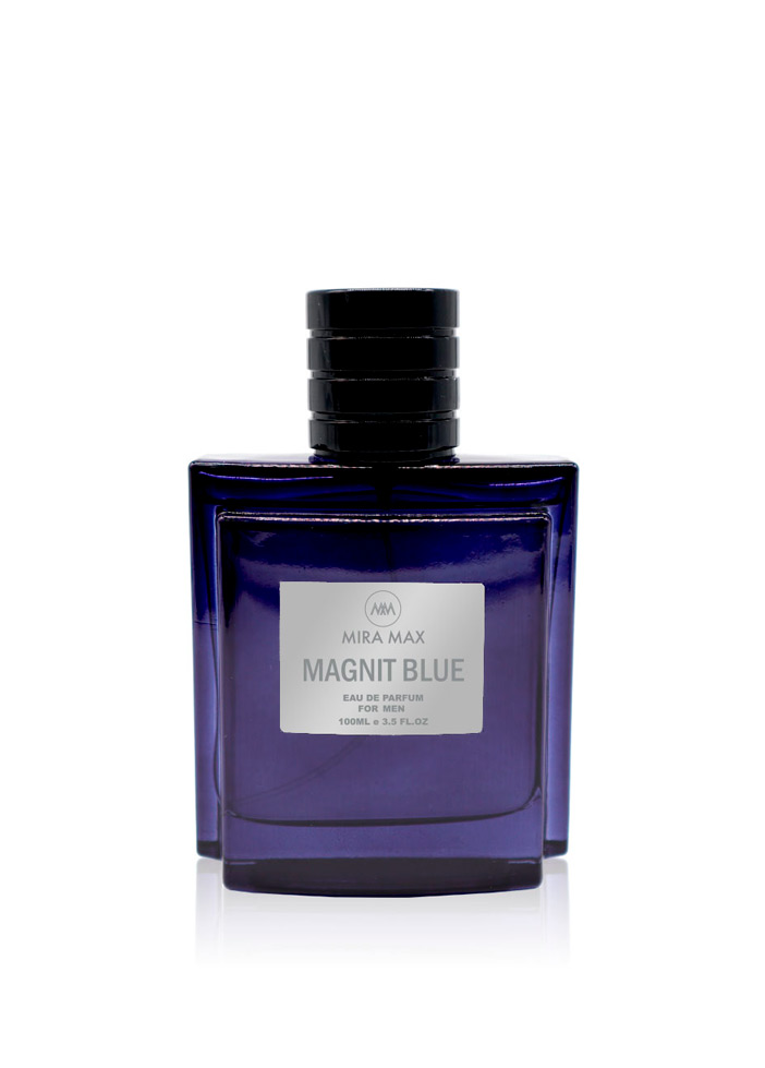 Парфюмированная вода для мужчин “MAGNIT BLUE” Mira Max, 100 мл